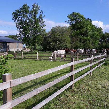 Roulotte A La Ferme Buissonniere Villa La Lande-de-Louge Exterior foto