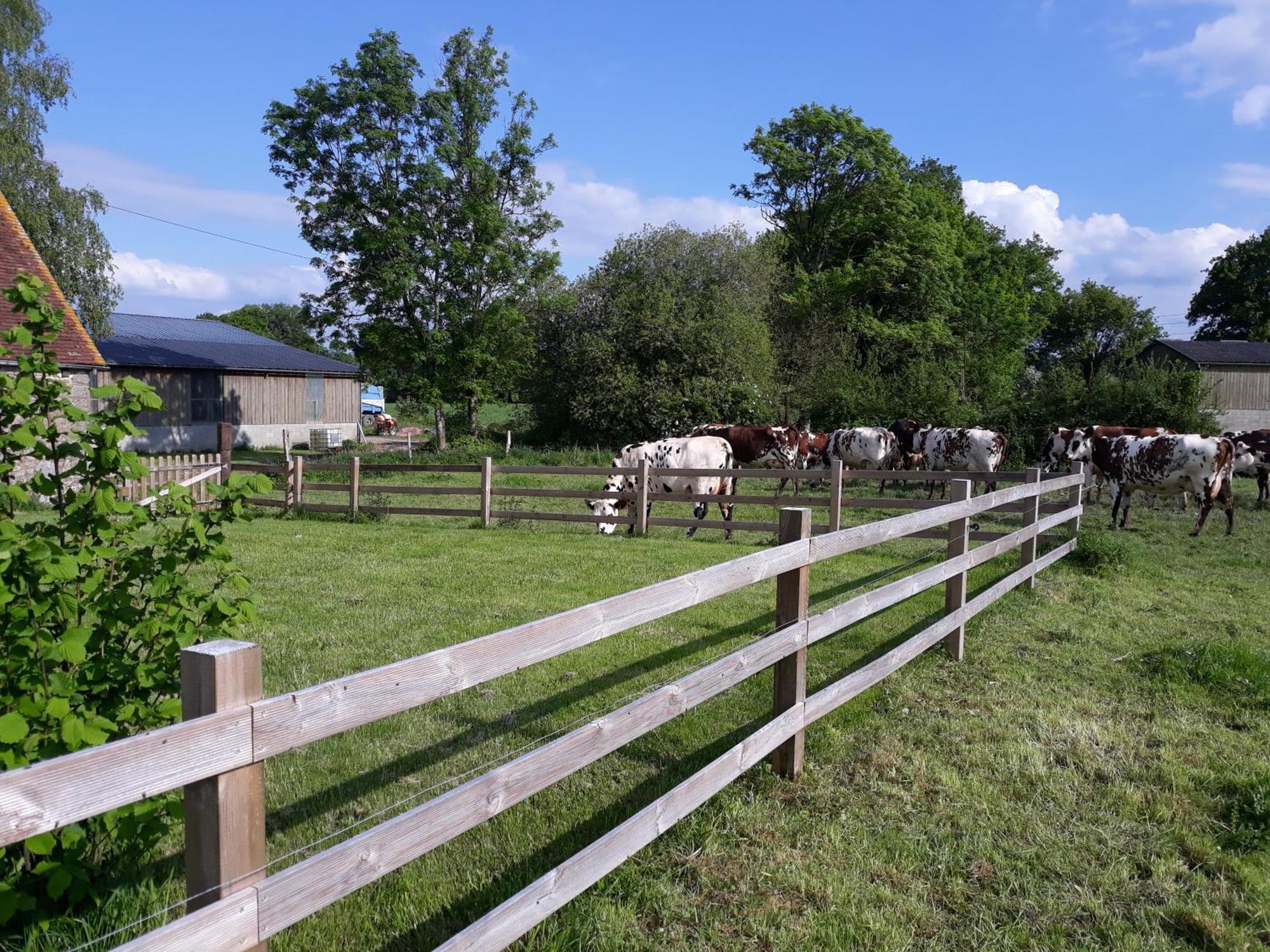Roulotte A La Ferme Buissonniere Villa La Lande-de-Louge Exterior foto